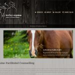 DCRartist web 001